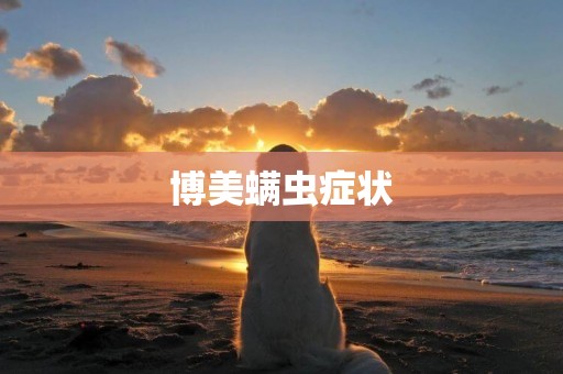 博美螨蟲癥狀