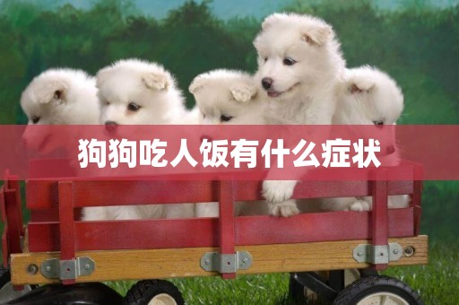 狗狗吃人飯有什么癥狀