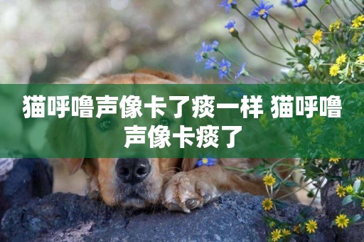 貓呼嚕聲像卡了痰一樣 貓呼嚕聲像卡痰了
