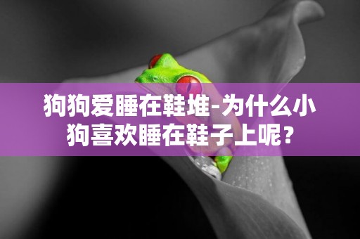 狗狗愛睡在鞋堆-為什么小狗喜歡睡在鞋子上呢？