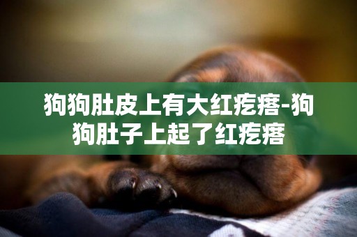 狗狗肚皮上有大紅疙瘩-狗狗肚子上起了紅疙瘩