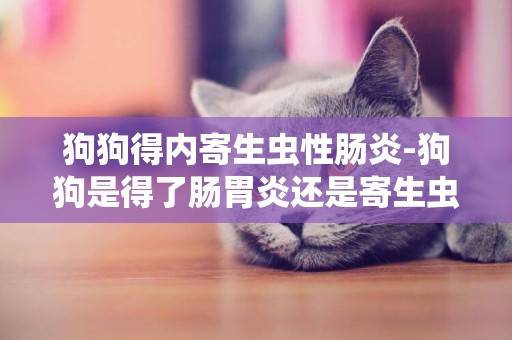 狗狗得內寄生蟲性腸炎-狗狗是得了腸胃炎還是寄生蟲？