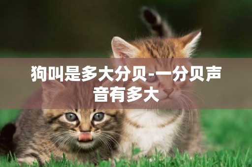 狗叫是多大分貝-一分貝聲音有多大