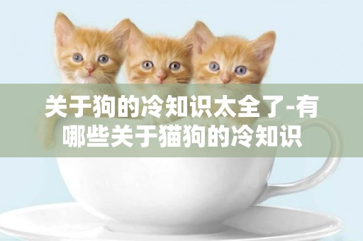 關于狗的冷知識太全了-有哪些關于貓狗的冷知識