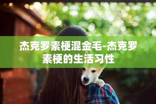 杰克羅素梗混金毛-杰克羅素梗的生活習性