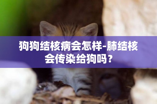 狗狗結核病會怎樣-肺結核會傳染給狗嗎？