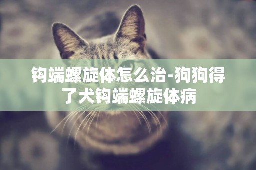 鉤端螺旋體怎么治-狗狗得了犬鉤端螺旋體病