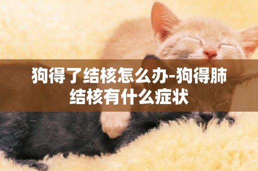 狗得了結核怎么辦-狗得肺結核有什么癥狀