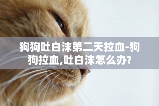 狗狗吐白沫第二天拉血-狗狗拉血,吐白沫怎么辦?