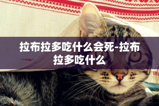 拉布拉多吃什么會死-拉布拉多吃什么