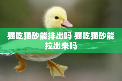 貓吃貓砂能排出嗎 貓吃貓砂能拉出來嗎