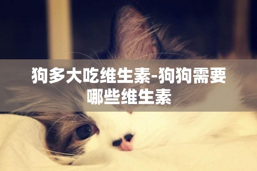 狗多大吃維生素-狗狗需要哪些維生素
