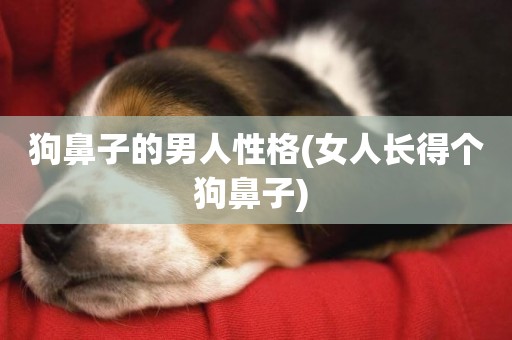 狗鼻子的男人性格(女人長得個狗鼻子) 