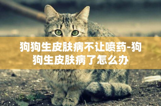 狗狗生皮膚病不讓噴藥-狗狗生皮膚病了怎么辦
