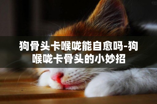 狗骨頭卡喉嚨能自愈嗎-狗喉嚨卡骨頭的小妙招