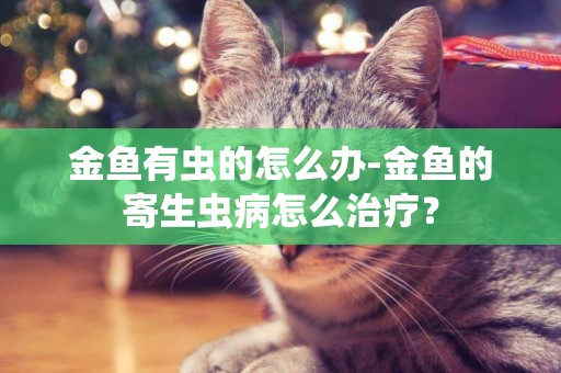金魚有蟲的怎么辦-金魚的寄生蟲病怎么治療？