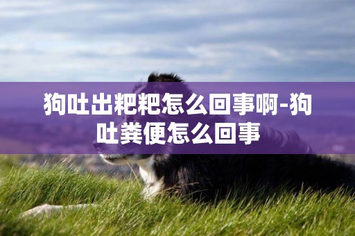 狗吐出粑粑怎么回事啊-狗吐糞便怎么回事