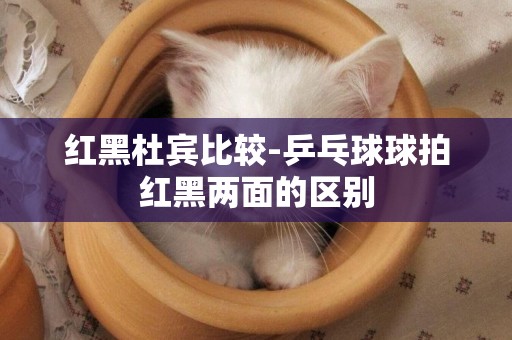 紅黑杜賓比較-乒乓球球拍紅黑兩面的區別