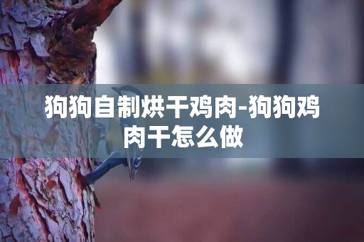 狗狗自制烘干雞肉-狗狗雞肉干怎么做