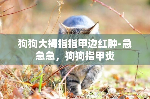 狗狗大拇指指甲邊紅腫-急急急，狗狗指甲炎