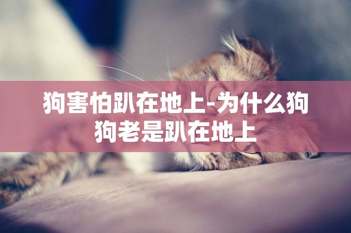 狗害怕趴在地上-為什么狗狗老是趴在地上