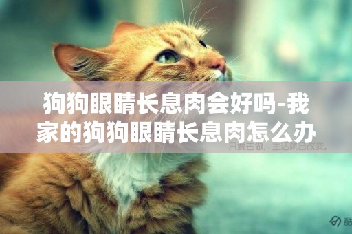 狗狗眼睛長息肉會好嗎-我家的狗狗眼睛長息肉怎么辦