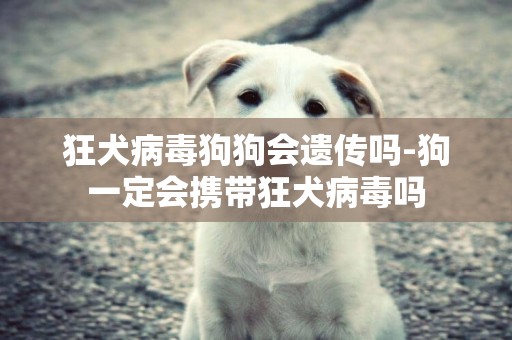 狂犬病毒狗狗會遺傳嗎-狗一定會攜帶狂犬病毒嗎