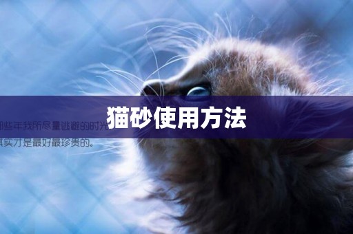 貓砂使用方法