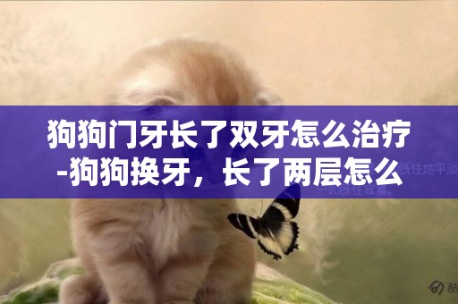 狗狗門牙長了雙牙怎么治療-狗狗換牙，長了兩層怎么辦？