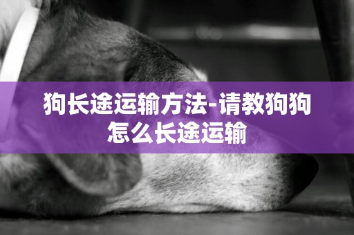 狗長途運輸方法-請教狗狗怎么長途運輸