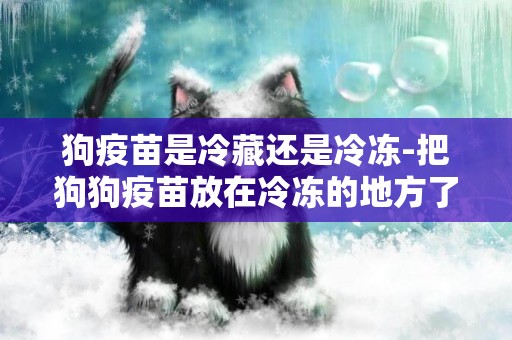 狗疫苗是冷藏還是冷凍-把狗狗疫苗放在冷凍的地方了怎么辦！！還可以用嗎?
