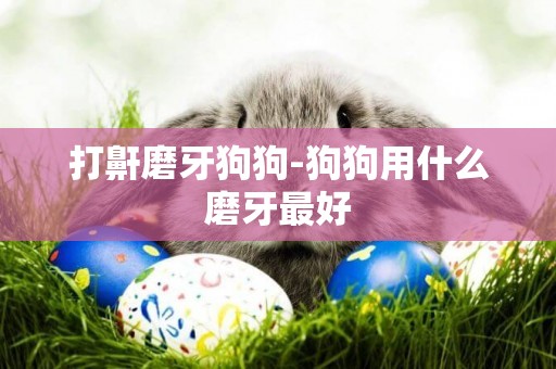 打鼾磨牙狗狗-狗狗用什么磨牙最好