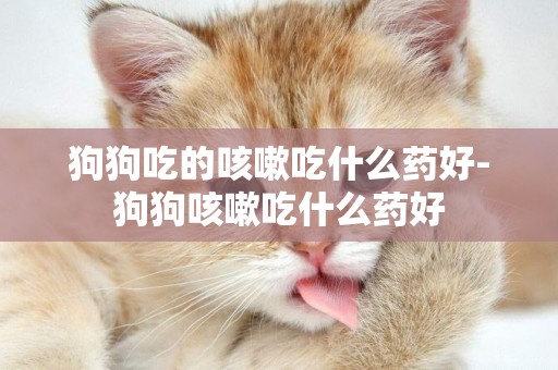 狗狗吃的咳嗽吃什么藥好-狗狗咳嗽吃什么藥好
