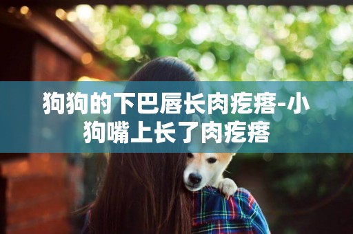 狗狗的下巴唇長肉疙瘩-小狗嘴上長了肉疙瘩