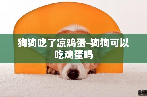 狗狗吃了涼雞蛋-狗狗可以吃雞蛋嗎