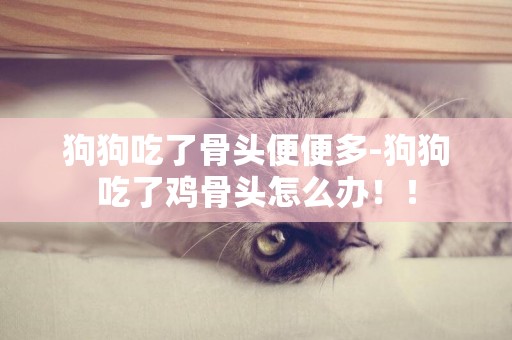 狗狗吃了骨頭便便多-狗狗吃了雞骨頭怎么辦！！