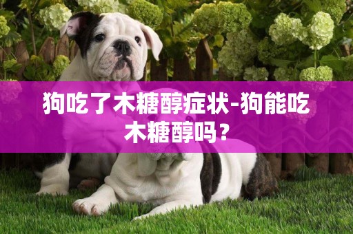 狗吃了木糖醇癥狀-狗能吃木糖醇嗎？