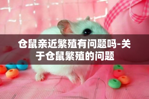 倉鼠親近繁殖有問題嗎-關于倉鼠繁殖的問題