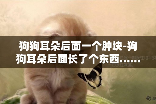 狗狗耳朵后面一個腫塊-狗狗耳朵后面長了個東西……求助！