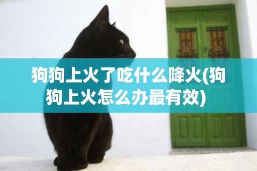 狗狗上火了吃什么降火(狗狗上火怎么辦最有效) 