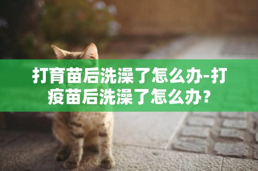 打育苗后洗澡了怎么辦-打疫苗后洗澡了怎么辦？