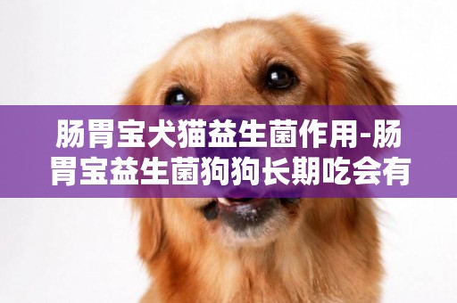 腸胃寶犬貓益生菌作用-腸胃寶益生菌狗狗長期吃會有依賴性嗎？答案都在這里了！