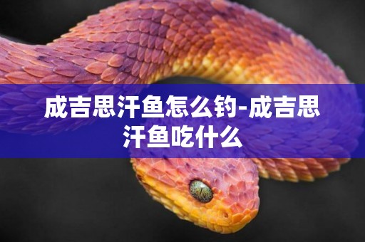 成吉思汗魚怎么釣-成吉思汗魚吃什么