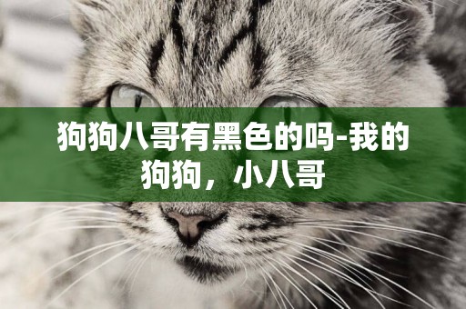 狗狗八哥有黑色的嗎-我的狗狗，小八哥