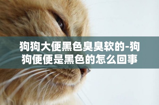 狗狗大便黑色臭臭軟的-狗狗便便是黑色的怎么回事