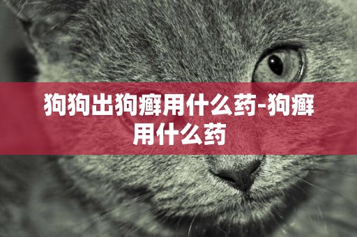 狗狗出狗癬用什么藥-狗癬用什么藥