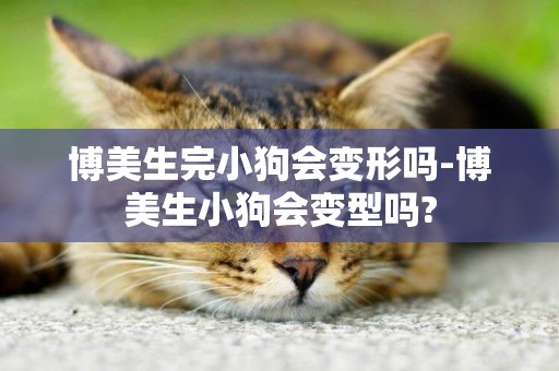 博美生完小狗會變形嗎-博美生小狗會變型嗎?
