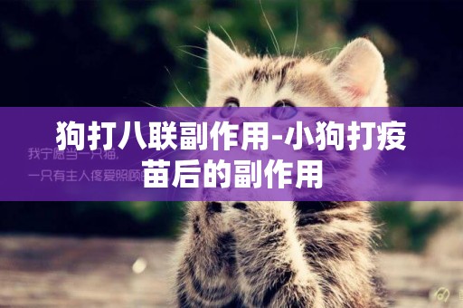 狗打八聯副作用-小狗打疫苗后的副作用