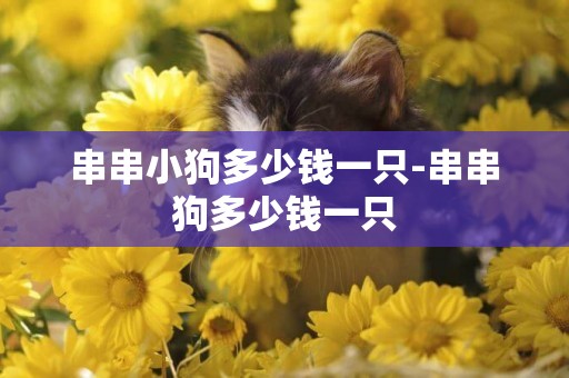 串串小狗多少錢一只-串串狗多少錢一只
