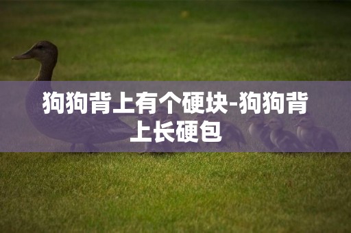 狗狗背上有個硬塊-狗狗背上長硬包